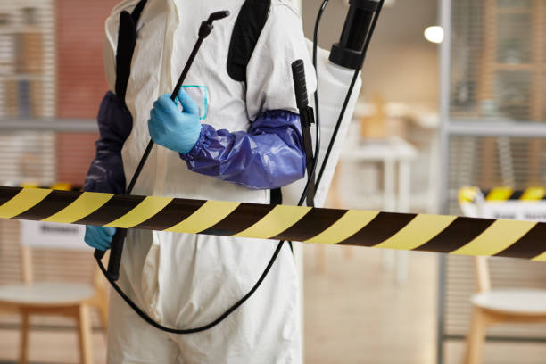 Professional Hoarding Cleanup technician working in Clearlake, CA